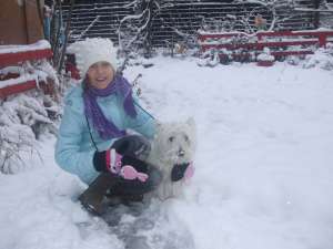 CAUTAM FETITA WESTIE CU PEDIGREE PT IMPERECHEAT