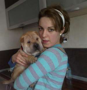 OFER MASCUL SHAR-PEI PENTRU IMPERECHERE
