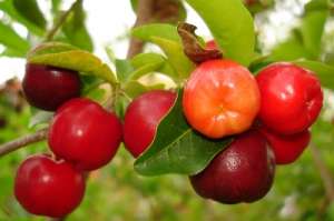 Din Import: Vitamine NATURALE 100% NU sintetice!!!