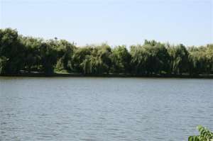 MOGOSOAIA - LAC - teren intravilan pentru constructii