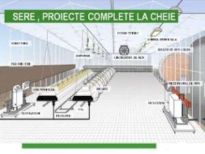 constructii sere si solsre metalice