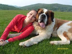 PUI SAINT BERNARD