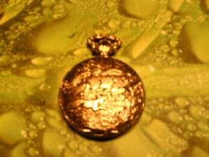 ceas de buzunar (colectie )