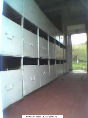 vand remorca pavilion apicol