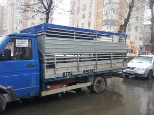 Ofer spre inchiriere sau vanzare autoutilitara pentru transport animale(oi,  miei,  vitei) de 3.5 t