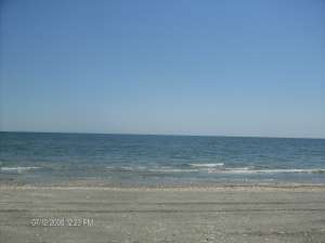 Corbu la mare teren