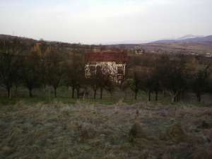 Casa de vacanta