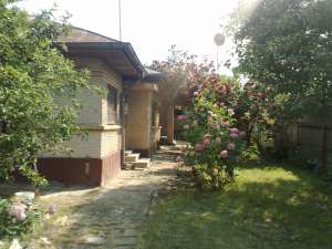 Vand vila/casa,   de 75 m2,   in Blejoi