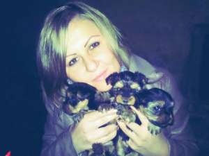 vand catei yorkshire terrier, talie mini si normal!!!