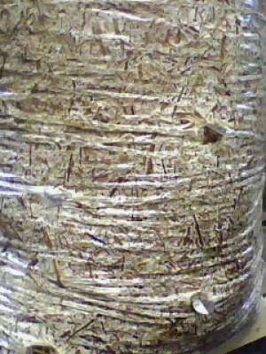 VAND COMPOST CIUPERCI PLEUROTUS