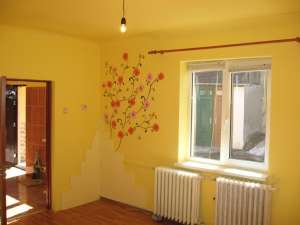 Apartament 1 camera in centru