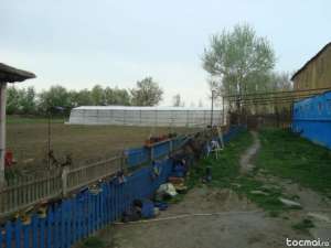 vand proprietate delta, bratul chilia veche sat tatanir