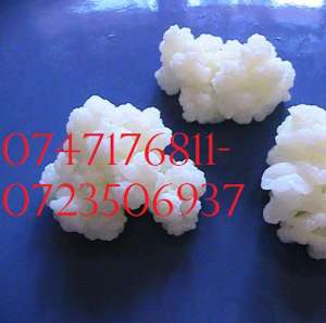 KEFIR CIUPERCA TIBETANA 0723506937 DE VANZARE ORIUNDE IN ROMANIA