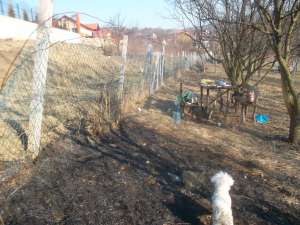 Teren intravilan,   zona Sarmas