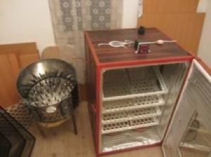 incubatoare oua gaina