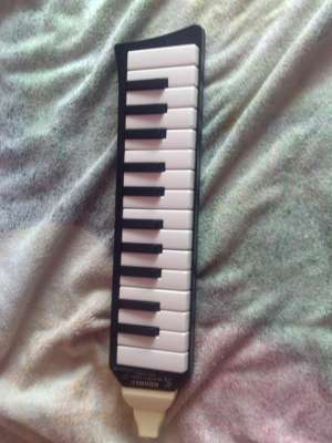 vand Hohner melodica piano