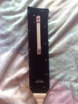vand Hohner melodica piano
