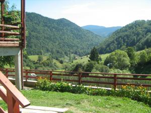 CABANA / VILA  RUCAR-BRAN
