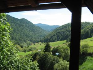 CABANA / VILA  RUCAR-BRAN