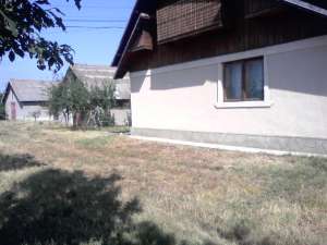 vand sau caut colaborator