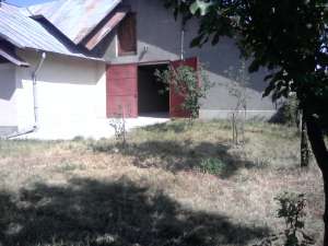 vand
