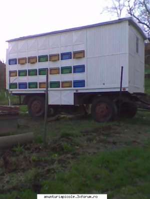 Vand pavilion apicol