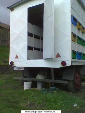 Vand pavilion apicol