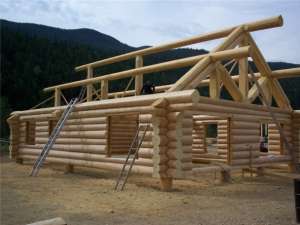 Case ,     cabane si mobilier rustic din busteni necalibrati