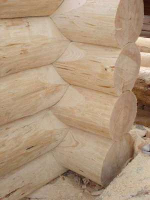 Case ,     cabane si mobilier rustic din busteni necalibrati