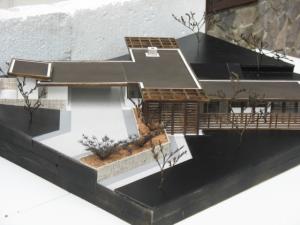 execut machete de arhitectura la scara dorita.
