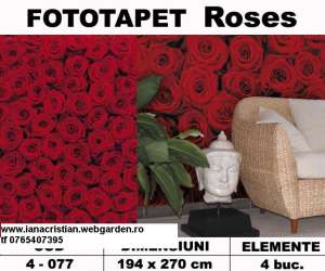 TAPET DECORATIV+FOTOTAPET