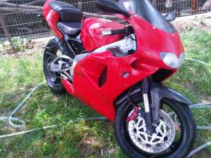 Vand aprila sport