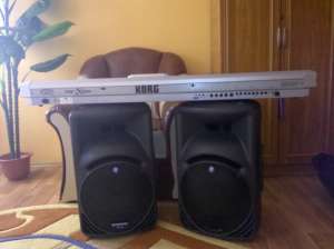 Vand urgent Orga KORG  PA 1 x pro