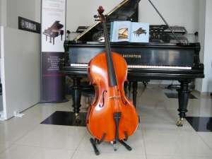 VAND VIOLONCEL PRET  800 EURO