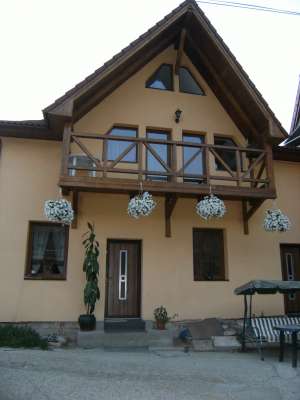 vand casa si apartament in casa in caeeeasi curte,  total 7 camer,  3 bai,  livingbalcon, beci,  par