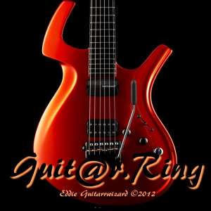Guit@r-Ring;Cursuri Professional de Chitara Electrica & Acustica (orice Nivel de pregatire)