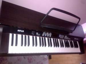 PIAN  DELSON PN 10