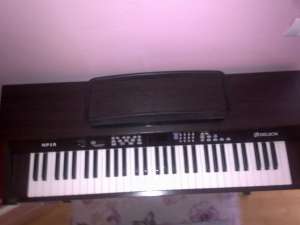 PIAN  DELSON PN 10