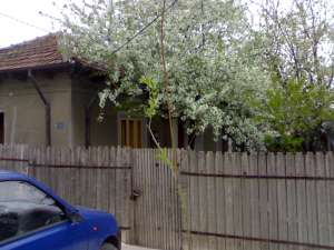 Casa Zimnicea