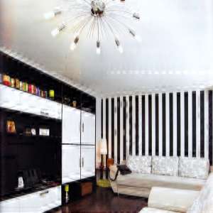 PARTICULAR EXECUT(REPAR) LA COMANDA MOBILA,     DESIGN