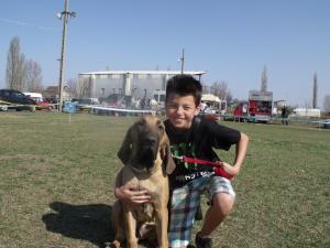 FILA BRASILEIRO de vinzare
