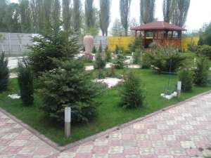 VILA DE VANZARE COMUNA CHIAJNA URGENT