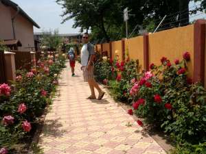VILA DE VANZARE COMUNA CHIAJNA URGENT