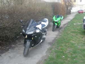 HONDA CBR 600 RR