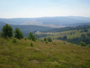 cabana in DEALUL-BOTII