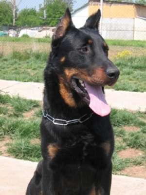 PUI BEAUCERON