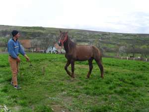 Vand Cal Agricultura