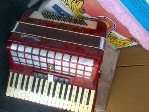 VAND ACORDEON PAR�ROT 80 BASI