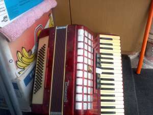 VAND ACORDEON PAR�ROT 80 BASI