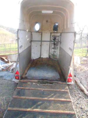 Transport animale